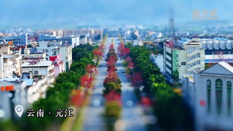 移轴带你看春天｜赏春花、趣春游，在山间田野赴一场春日之约！