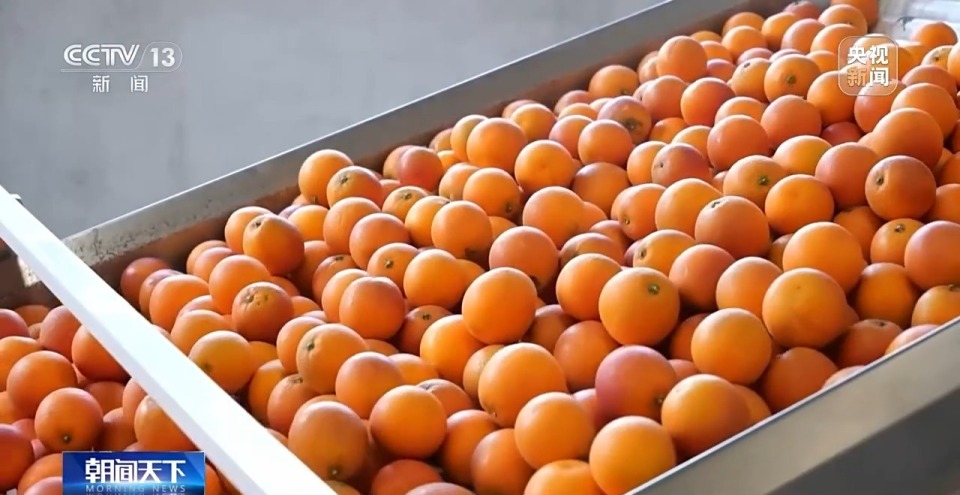 规模持续扩大 三季度我国冷链物流业务总需求量超1.17亿吨