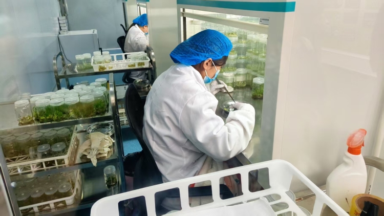 中国工商银行兰州分行：“种植 e 贷”赋能企业 以金融力量深耕县域普惠助乡村振兴