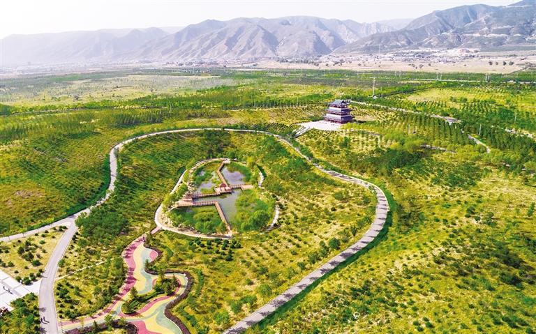 探访生态青城：久久为功 青山披翠 绿富同兴