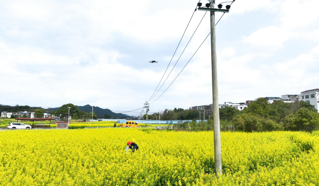 Electricity Illuminates Spring Fields_fororder_图片5