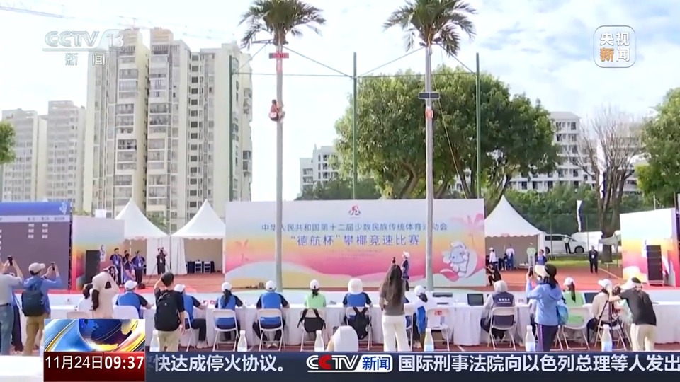 爬树也有比赛了?零距离看运动员争战“椰树之巅”