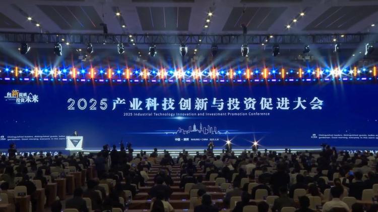 新华视点｜遇见东方 “洋朋友”眼中的中国