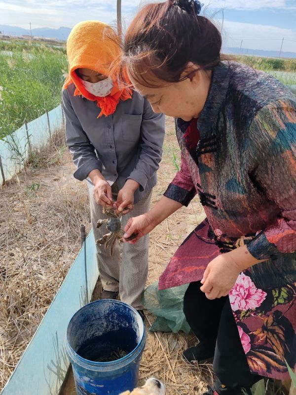 【好评中国·追光青年】“鸿雁”北飞 青春有为