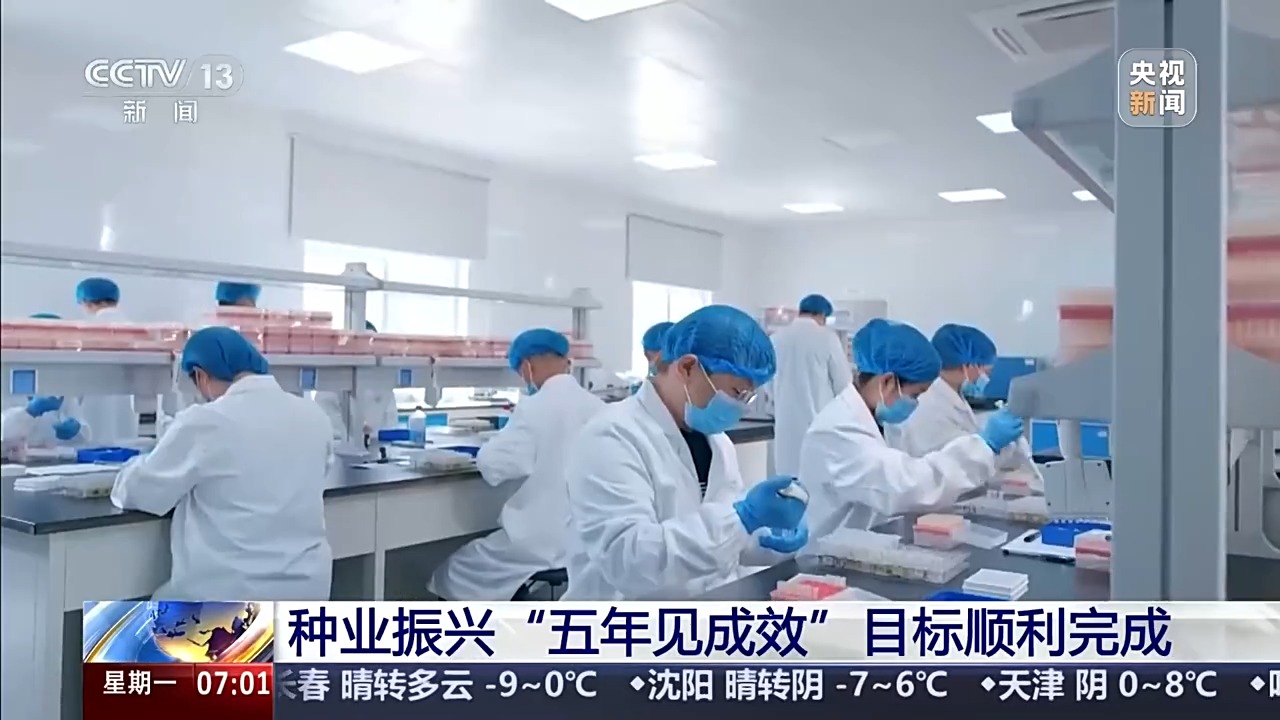 让“中国粮”主要用“中国种” 我国完成种业振兴“五年见成效”目标