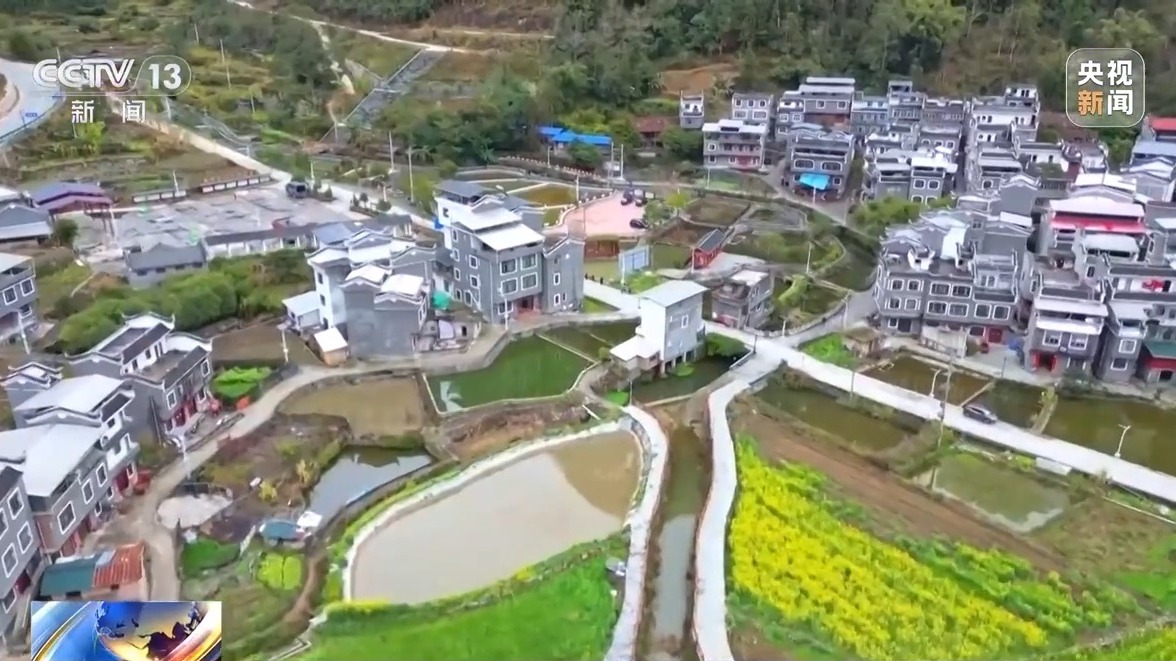 再访脱贫村 振兴气象新丨中南村：因地制宜强产业 群众增收有后劲
