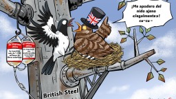 【Caricatura editorial】El cuco común ocupa el nido de la urraca