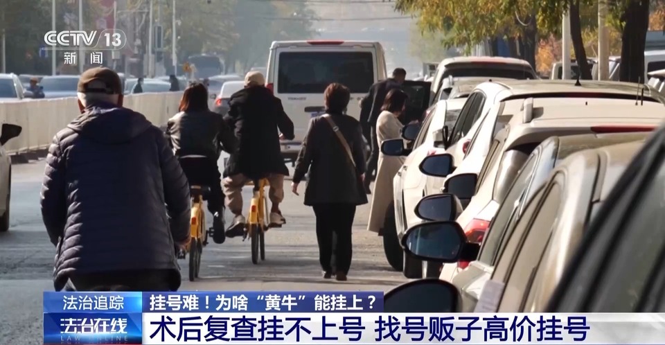 法治在线丨患者就医“一号难求”，为啥“黄牛”能挂上？