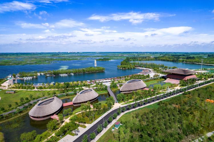 潮头观澜丨千年大计 拔节生长