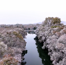 呼伦贝尔积极策划69项秋冬季文旅体主题活动