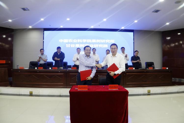 全国苹果高产高效技术观摩会在甘谷举行_fororder_5