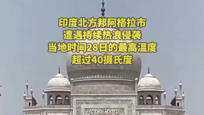 印度热浪有多猛？游客受不住 大象也受不住_fororder_企业微信截图_20260429103034