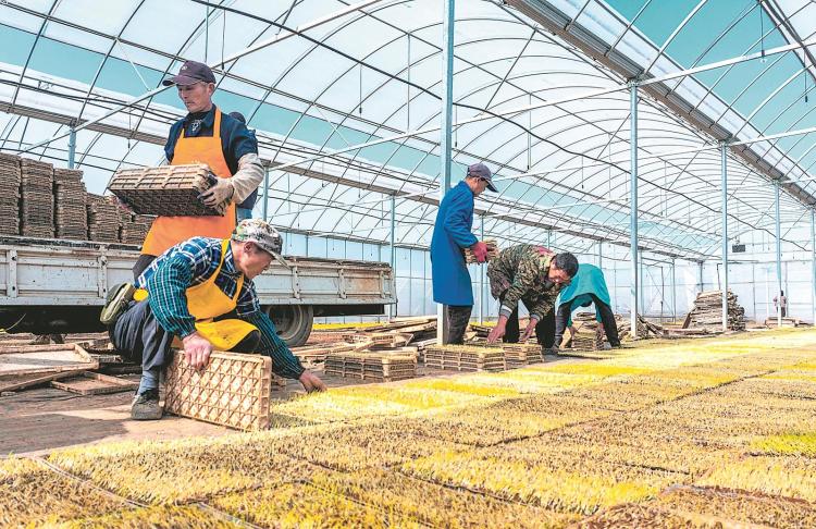 安徽各地趁时节 忙农事