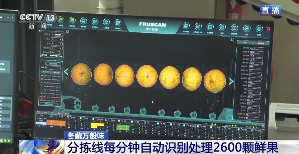 视频丨一粒豆一颗柑 中国味道饮品里藏着“绿色致富密码”