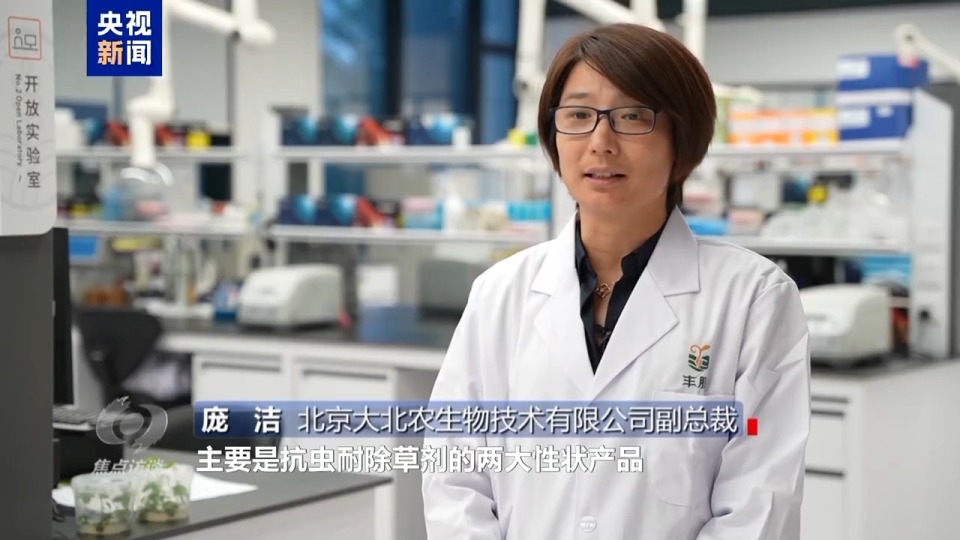 焦点访谈丨筑牢大国粮仓 中国人的饭碗端得更牢更稳