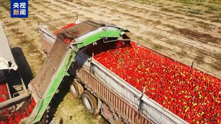 农产品加工业、乡村旅游……一季度乡村产业保持较好发展势头