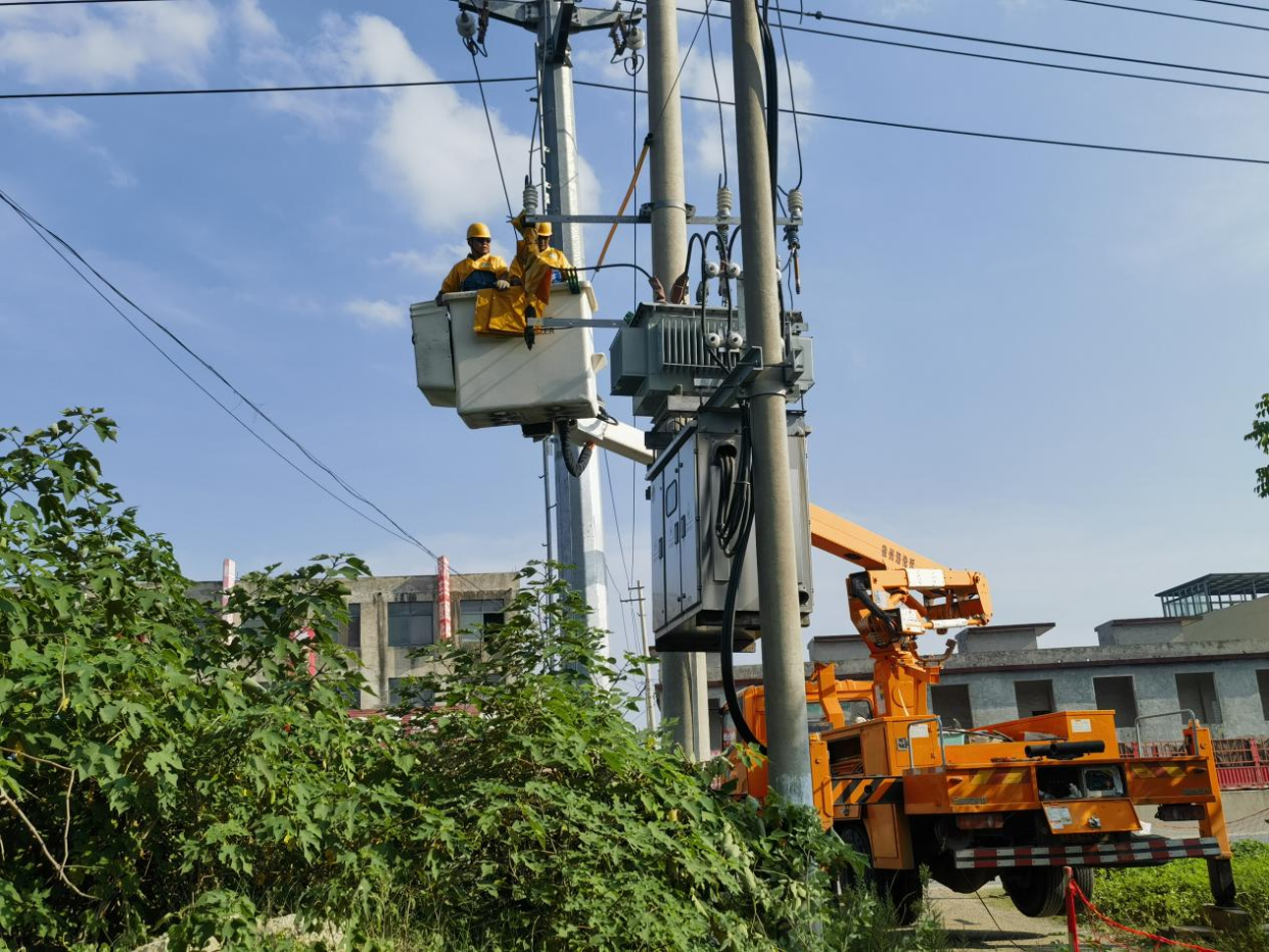 Nanyang, Henan: Reliable Power Empowers Mugwort Industry Development_fororder_图片3