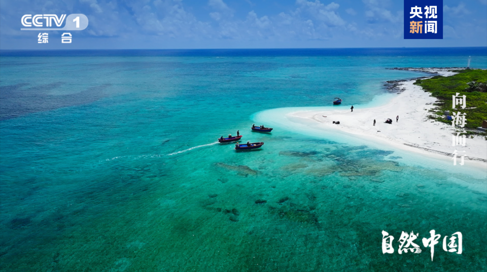 全景式展现中国海洋发展图景 《向海而行》今日开播