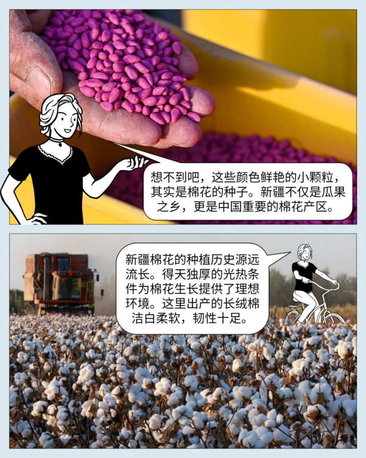 中国印记｜微缩摄影看新疆：产业篇_fororder_XxjpbeC000373_20250929_CBMFN0A007