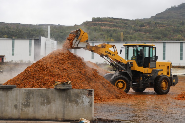 天水清水：营商环境“优”无止境 企业发展“燃”新活力_fororder_IMG_1694(1)