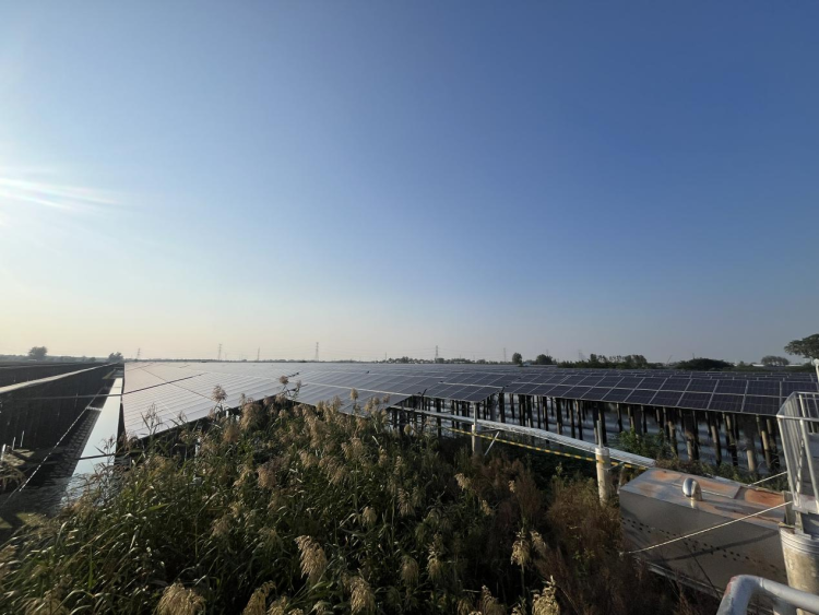 蚌埠市五河县东刘集镇：“稻虾共舞” 奏响乡村振兴 “和美乐章”_fororder_10172