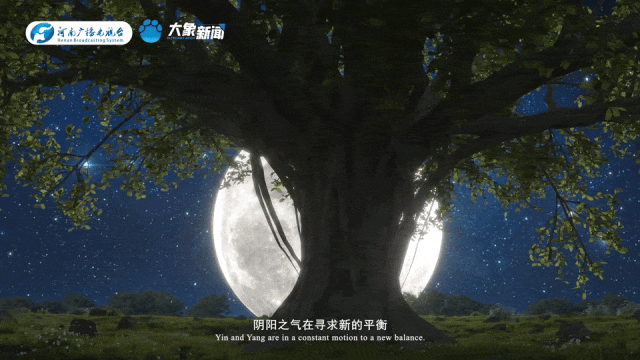 何以中国丨中国节气·夏至