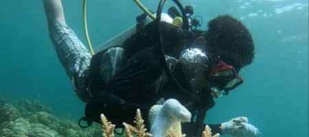 【“一带一路”央企逐梦】工业废料变海底绿洲_fororder_69035bd8e4b00f50ee1f9af1