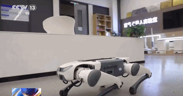 奋斗在春天里丨中国机器人凭啥“圈粉”海外？“金点子”揭秘