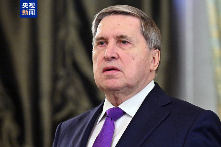 视频丨俄美总统通话 美乌总统会面 “和平协议”仍存分歧