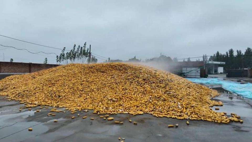 新华视点丨连阴雨袭扰秋收季 全国多地抢收保秋粮
