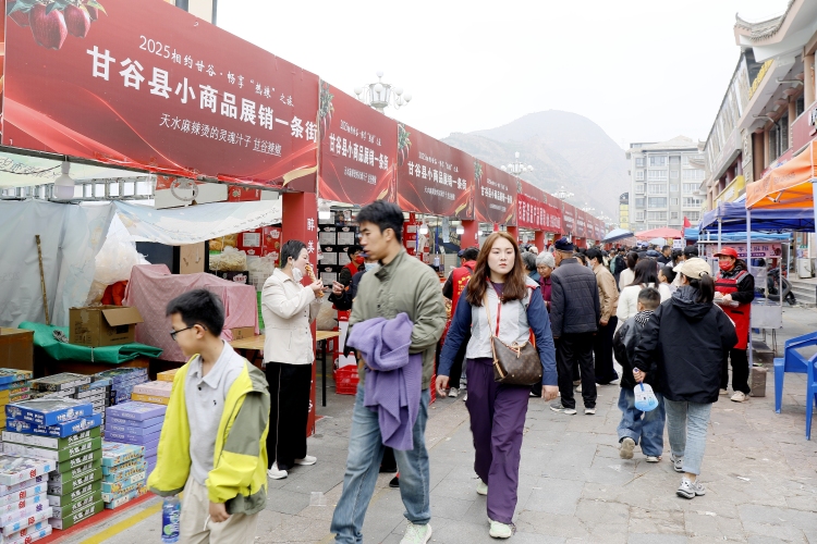 天水甘谷：汇聚四海精品 点亮文旅盛宴_fororder__MG_3758_副本