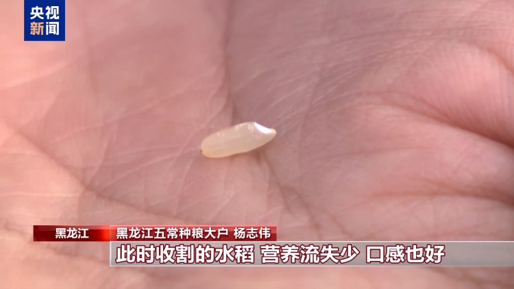 “双节”餐桌上新 一起沉浸式感受大国粮仓的“底气”→