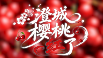 【鲜味中国·夏溢】澄城樱桃红了_fororder_00ac6f714626c4e76213cc6c83850829