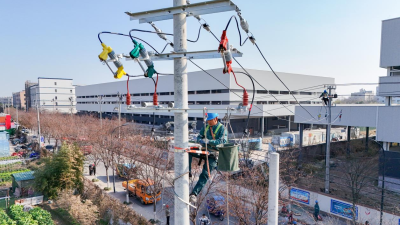 Ningbo, Zhejiang: Power Distribution Network Upgrade Project Accelerates Enterprise Development