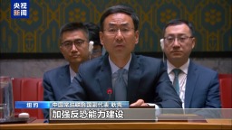 中方代表：国际社会应继续助力伊拉克反恐与重建