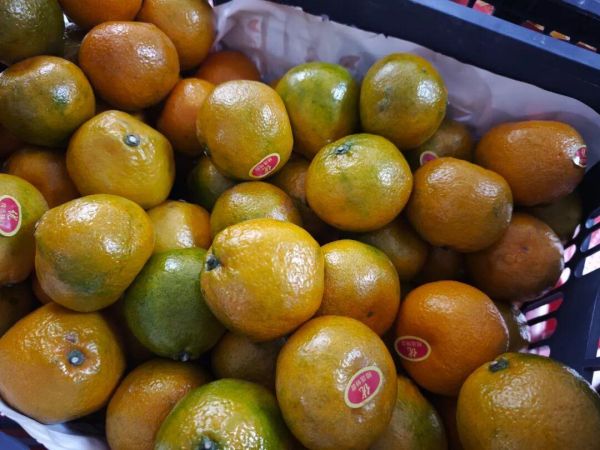 2025敦煌半程马拉松圆满落幕