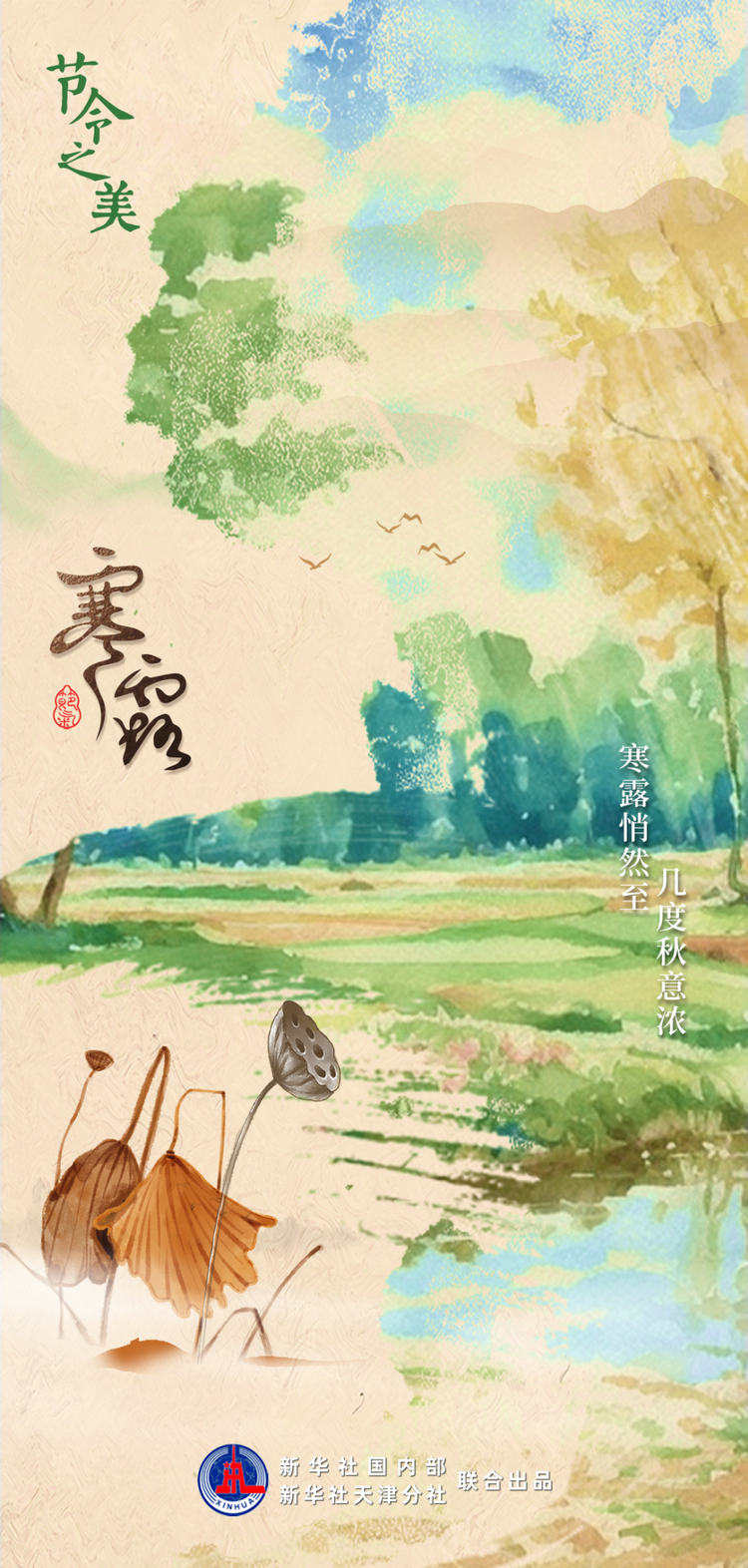 节令之美｜寒露遇上重阳节，赏菊登高觅秋色