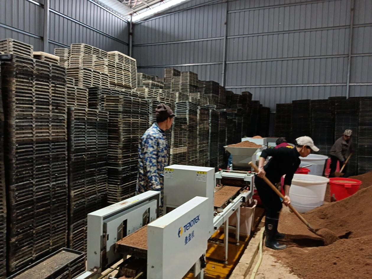湖南耒阳以科技赋能农业 绘就春耕新图景_fororder_1