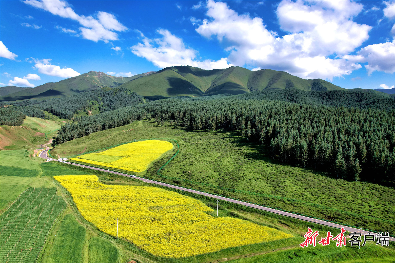 图片默认标题_fororder_1