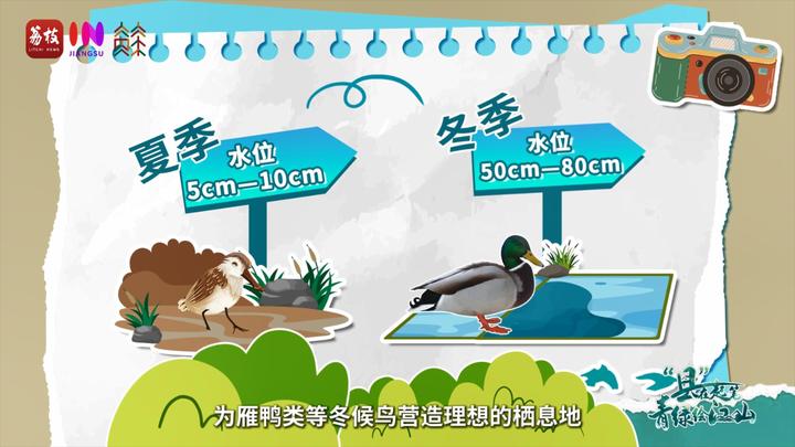 “县”在起笔 青绿绘江山 | 翠微满乾“昆”，繁华都市与生态绿意温柔相拥
