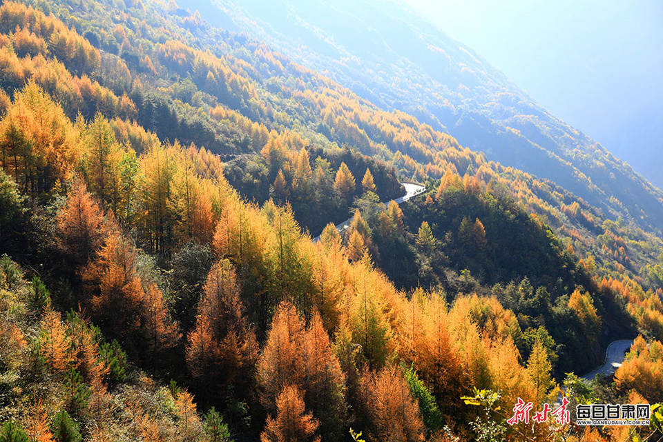 陇南武都姚寨沟空投坪彩林“迷人眼”