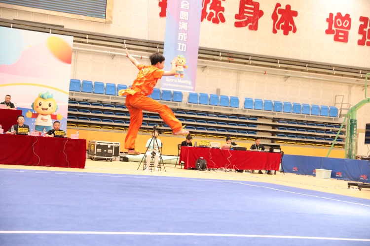 天水市武术选手在全省中运会勇夺三金五银五铜_fororder_12.JPG