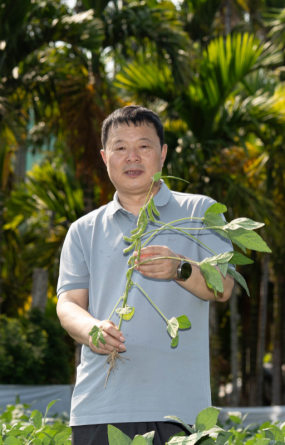 呼伦贝尔优质大豆品种亮相三亚种子大会 五个品种签约推广助力种业振兴