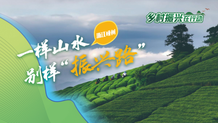 浙江嵊州：一样山水别样“振兴路”