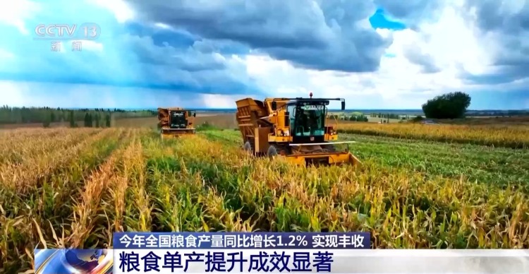 粮食产量再创新高！解锁大国粮仓的丰收“密码”