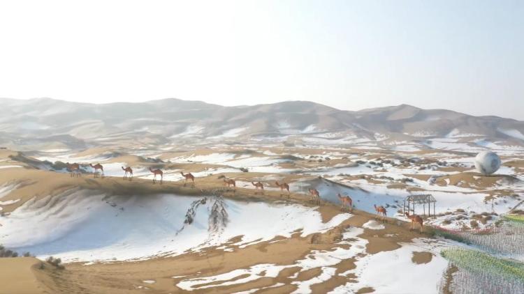 新华视点｜冰雪“冷资源”带动全域“热经济”：从“文旅链”到“IP热”