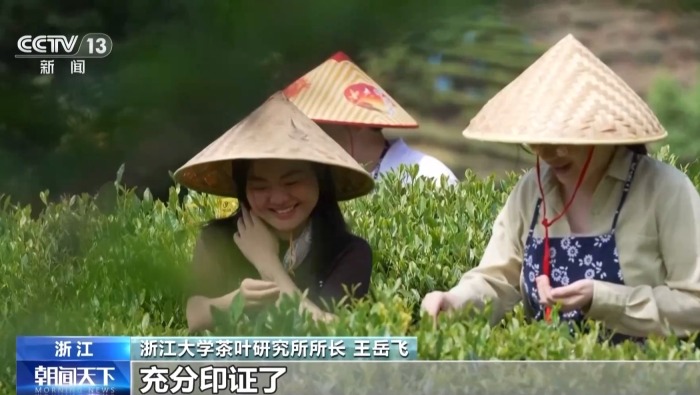 文化中国行丨一脉茶香贯古今 东方茶韵“圈粉”全球