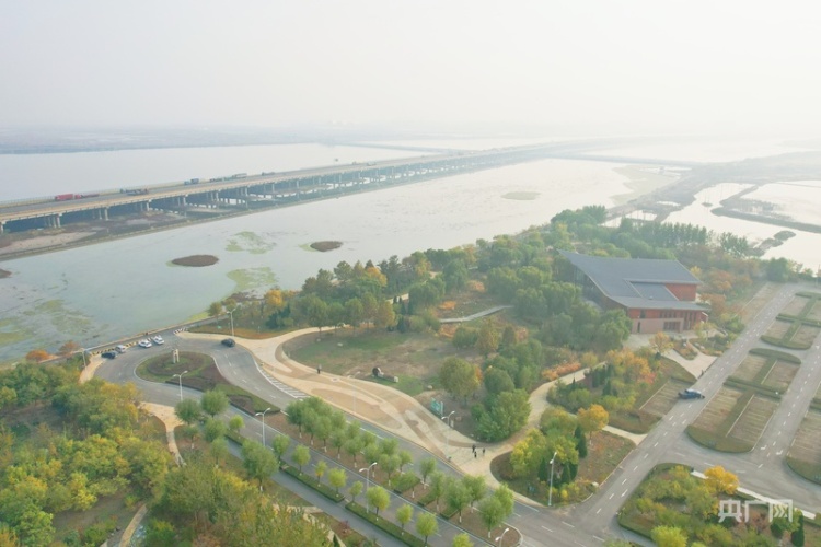 行进的海岸线｜荒芜滩涂蝶变“幸福岸线” 绘就城海相融新篇