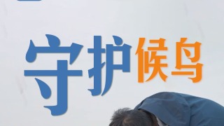 新春走基层·联播一瞬丨八年守护，让每一只候鸟都有温暖归途