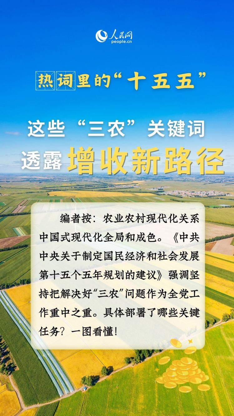 热词里的“十五五”丨这些“三农”关键词，透露增收新路径_fororder_1